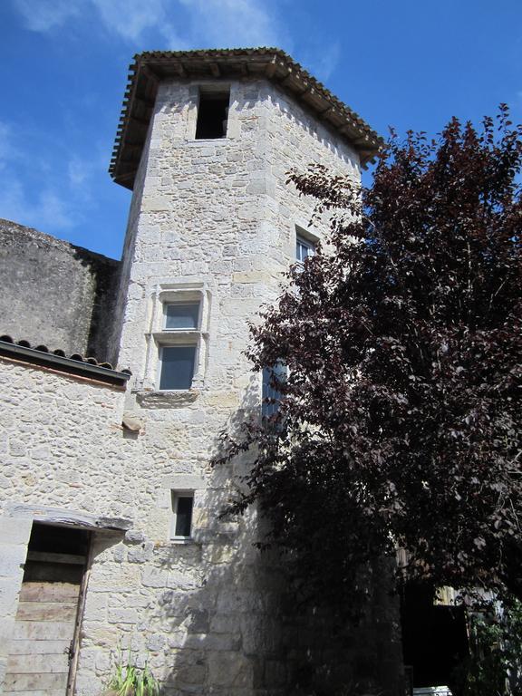 Chambre D'Hotes La Tour De Brazalem Nérac Стая снимка